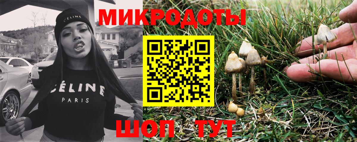 Псилоцибиновые грибы MAGIC MUSHROOMS Алексеевка