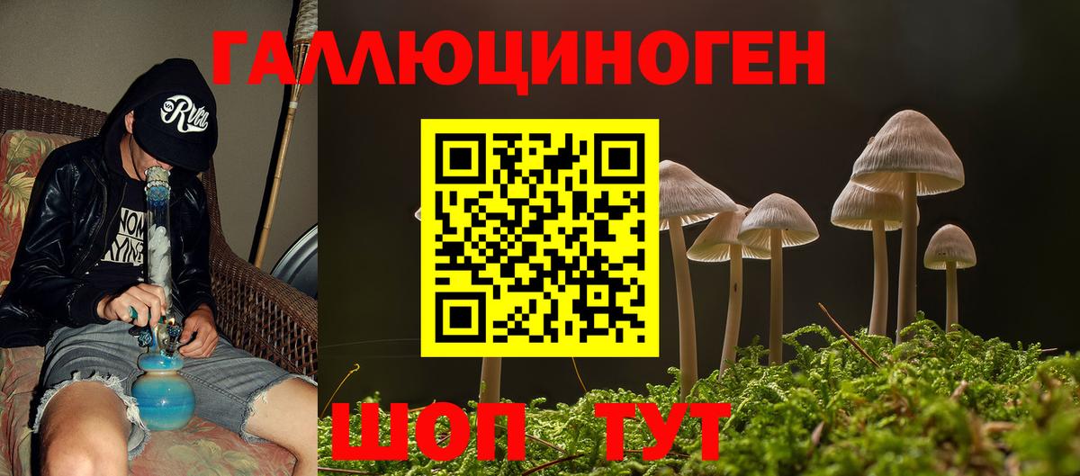 Алексеевка  Псилоцибиновые грибы прущие грибы  Галлюциногенные грибы ЛСД  Вход с VPN 